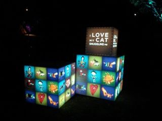 LOVE BOXES AT SPLORE