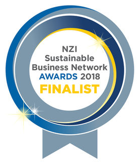 NZI Sustainable Business Awards