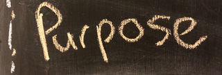 Purpose first, then career:  Asking Why?